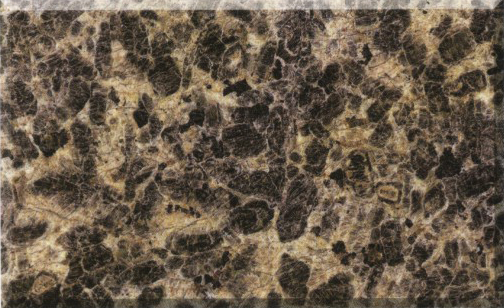 G406-��Ƥ��-LEO